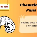 Chameleon Puns