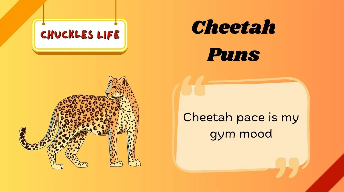 Cheetah Puns