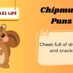 Chipmunk Puns