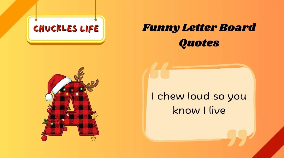 Funny Letter Board Quotes
