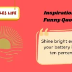 Inspirational Funny Quotes