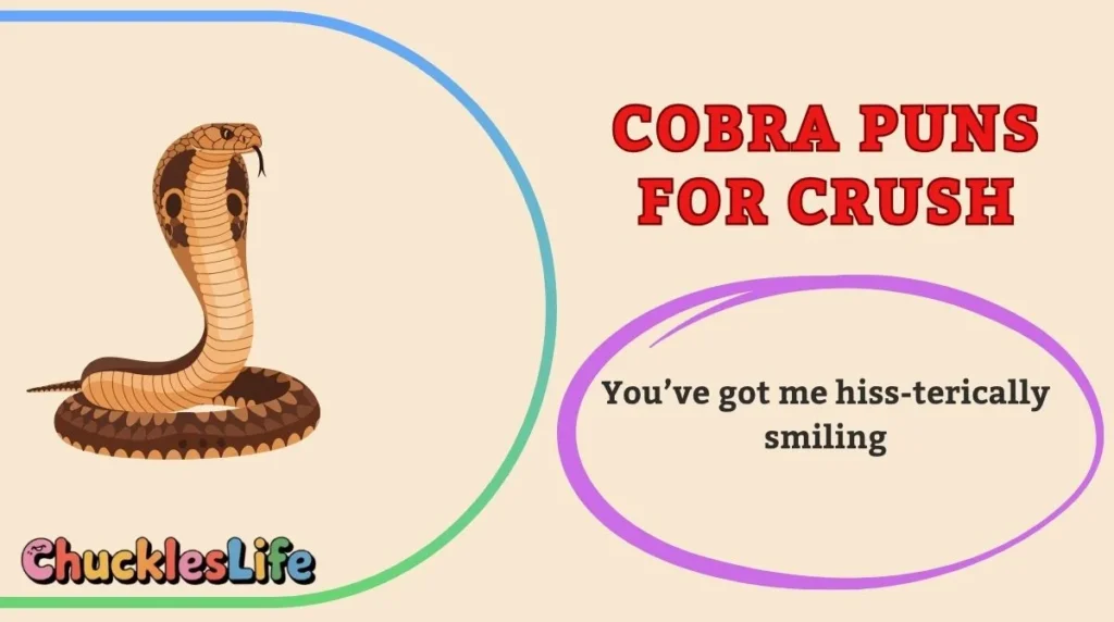 Cobra Puns for Crush