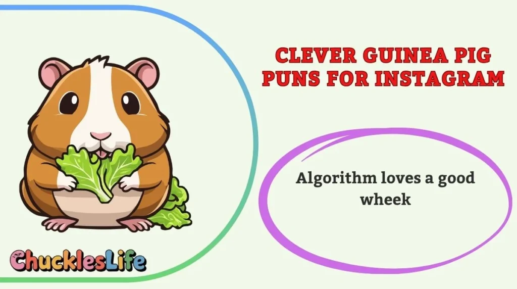 Clever Guinea Pig Puns for Instagram
