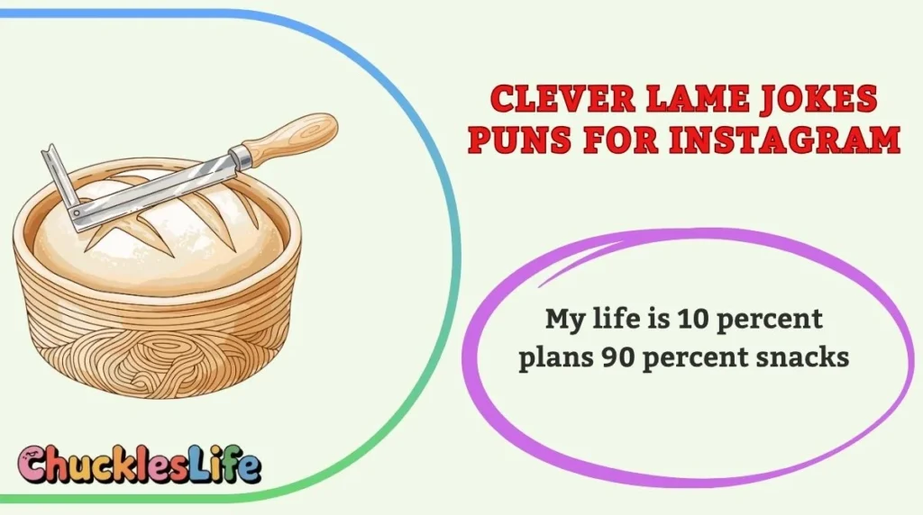 Clever Lame Jokes Puns for Instagram