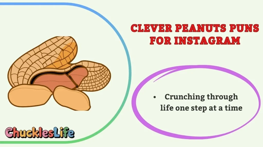 Clever Peanuts Puns for Instagram