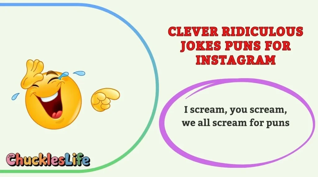 Clever  Ridiculous Jokes Puns for Instagram