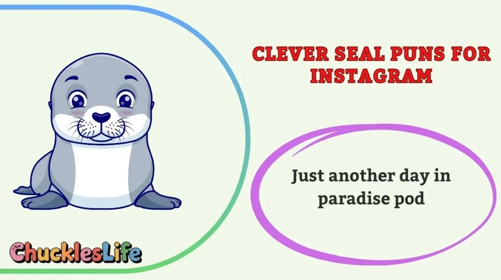 Clever Seal Puns for Instagram