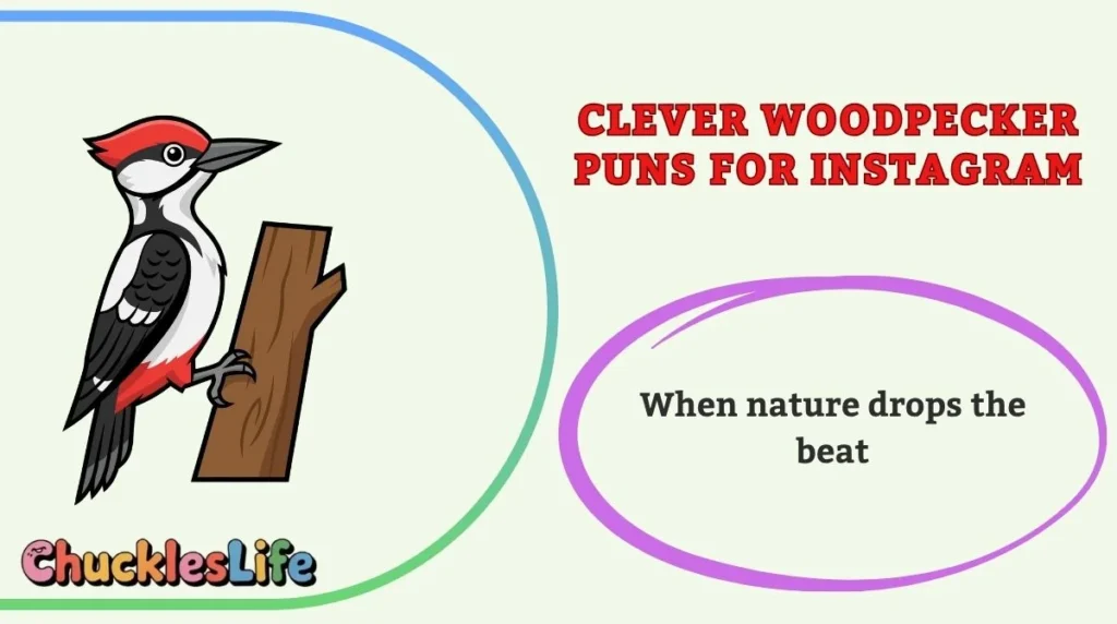 Clever Woodpecker Puns for Instagram