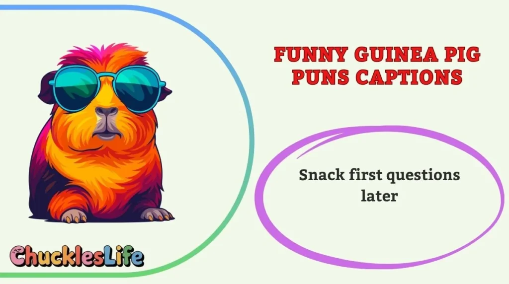 Funny Guinea Pig Puns Captions