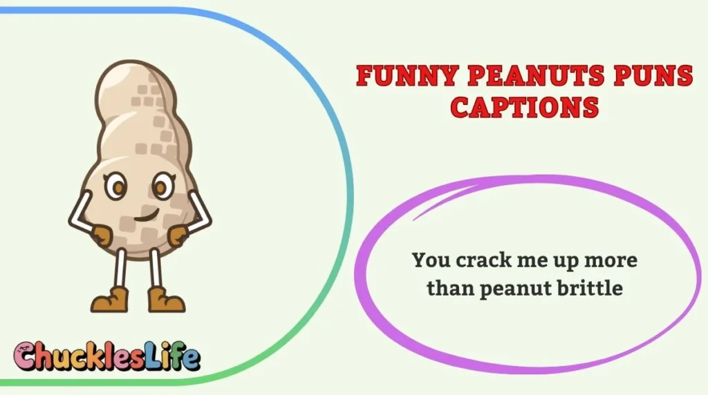 Funny Peanuts Puns Captions