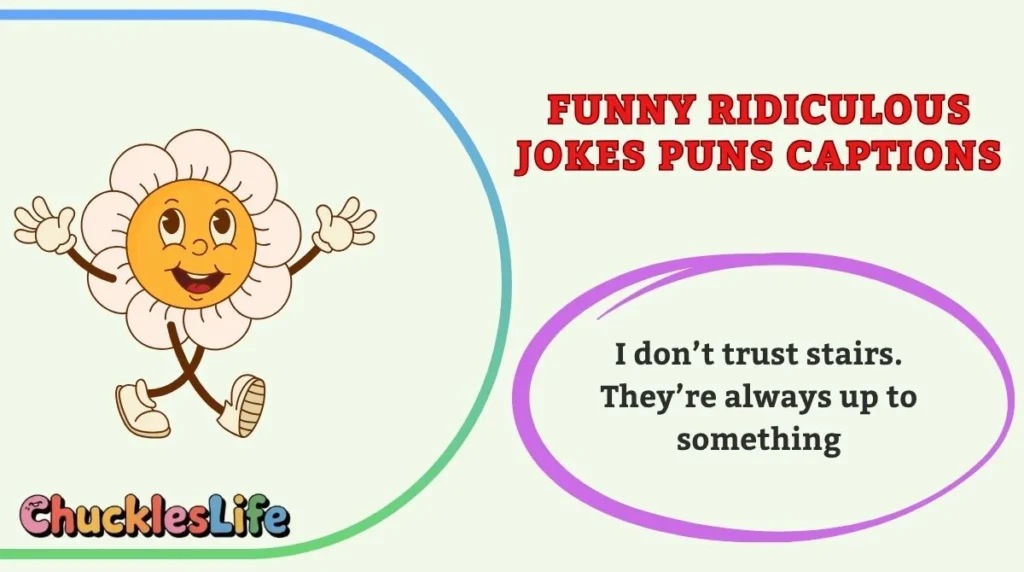 Funny Ridiculous Jokes Puns Captions