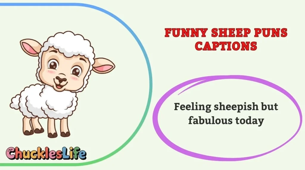 Funny Sheep Puns Captions