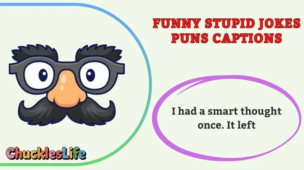 Funny Stupid Jokes Puns Captions