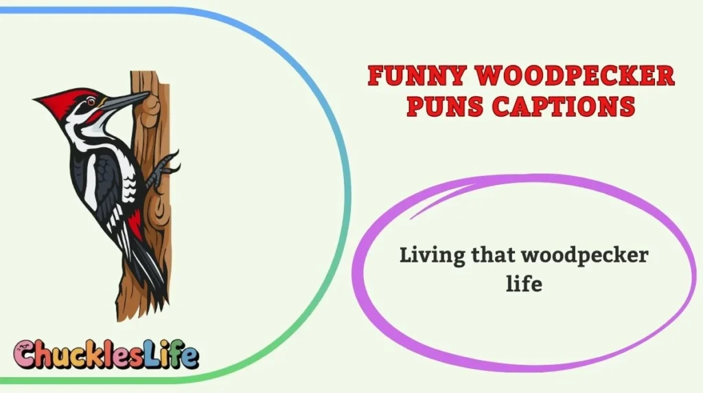 Funny Woodpecker Puns Captions