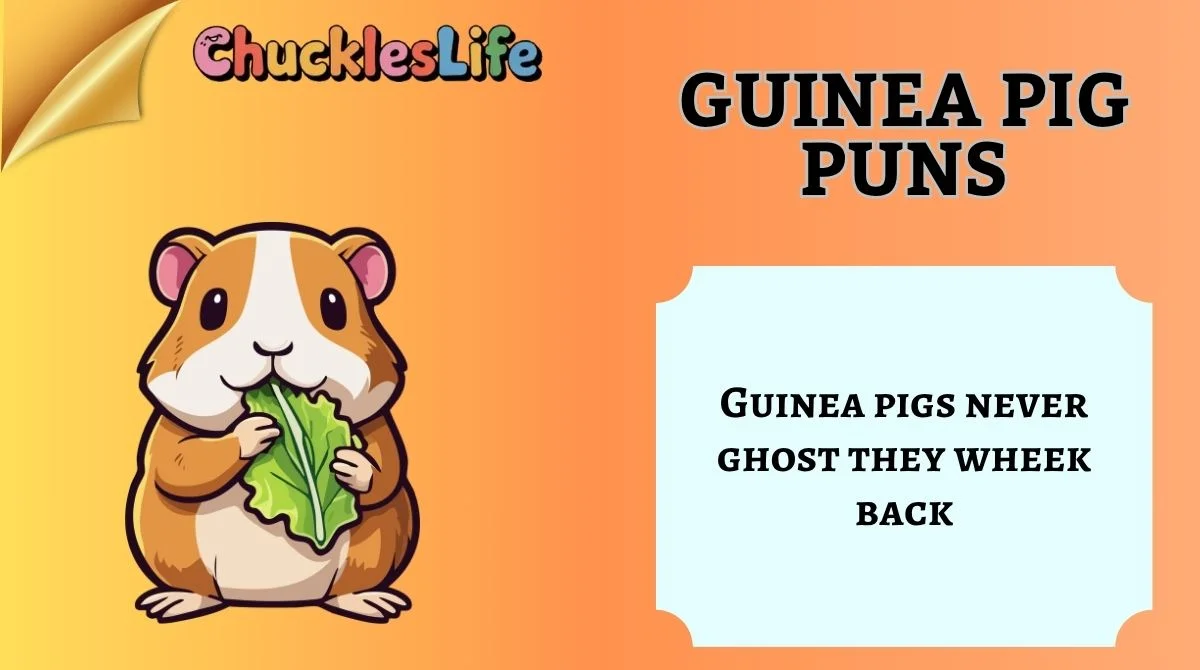 Guinea Pig Puns