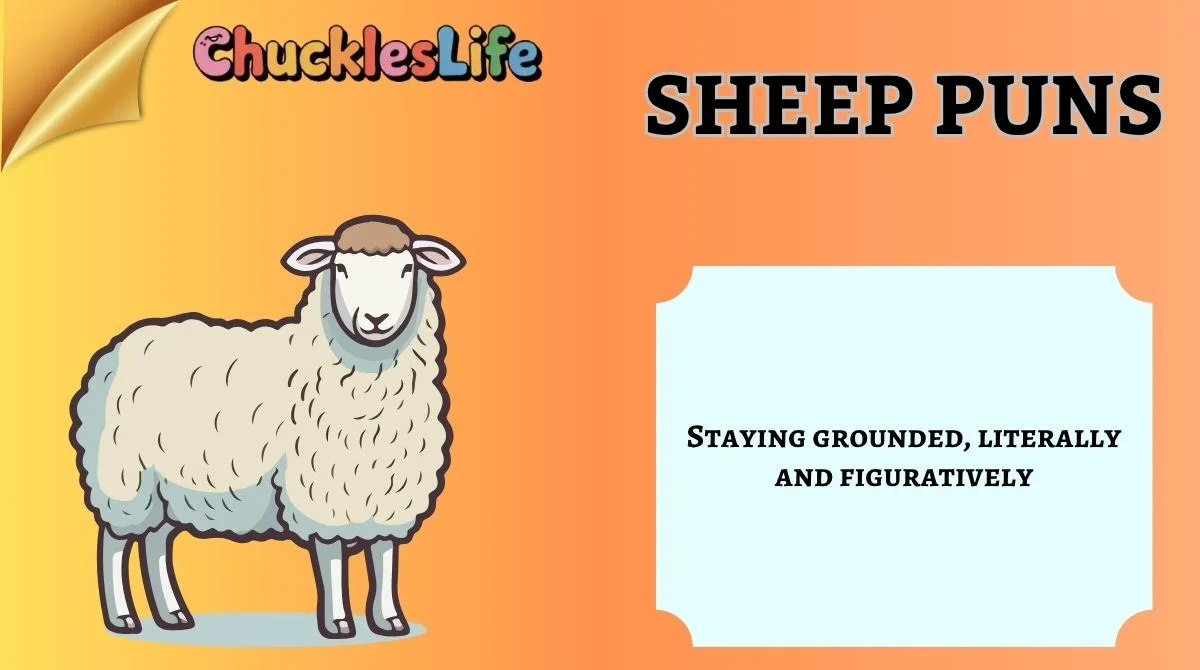 Sheep Puns