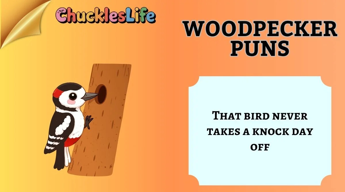 Woodpecker Puns