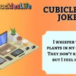 cubicle-life-jokes