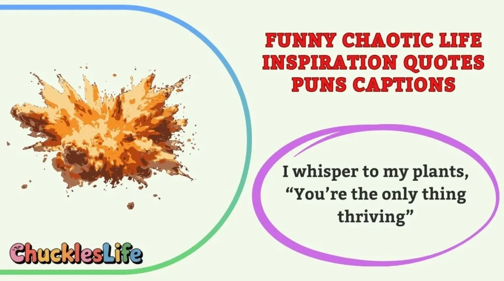 Funny Chaotic Life Inspiration Quotes Puns Captions