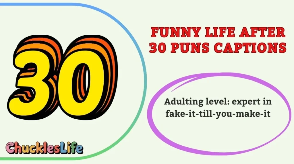 Funny Life After 30 Puns Captions