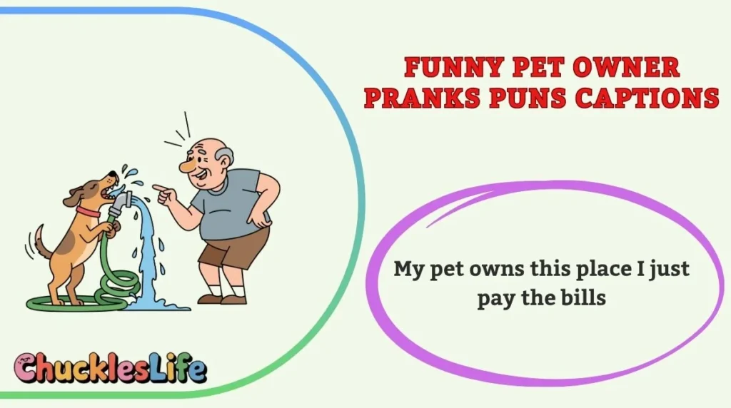 Funny Pet Owner Pranks Puns Captions
