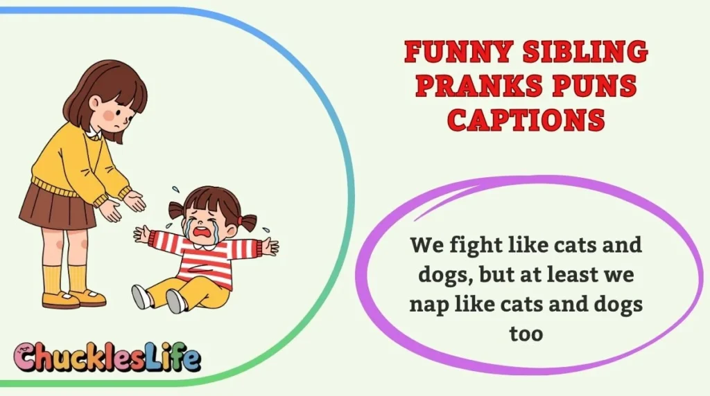 Funny Sibling Pranks Puns Captions