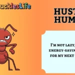Hustle Humor
