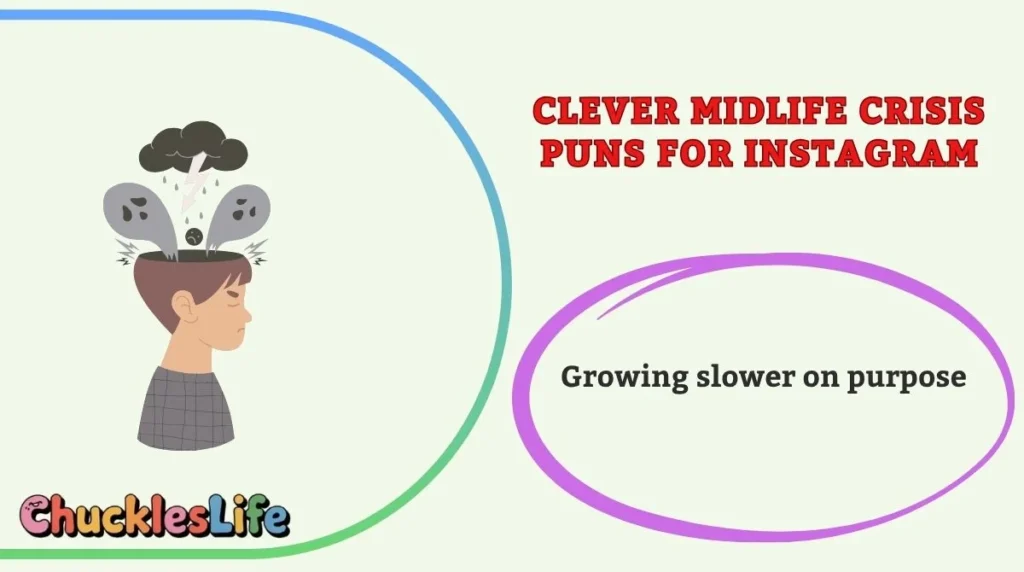 Clever Midlife Crisis Puns for Instagram