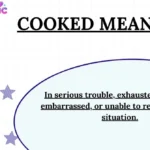 Cooked Meaning