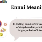 Ennui Meaning