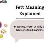 Fett Meaning Explained