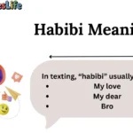 Habibi Meaning