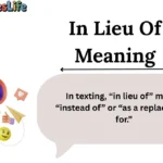 In Lieu Of Meaning
