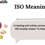 ISO Meaning