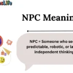 NPC Meaning