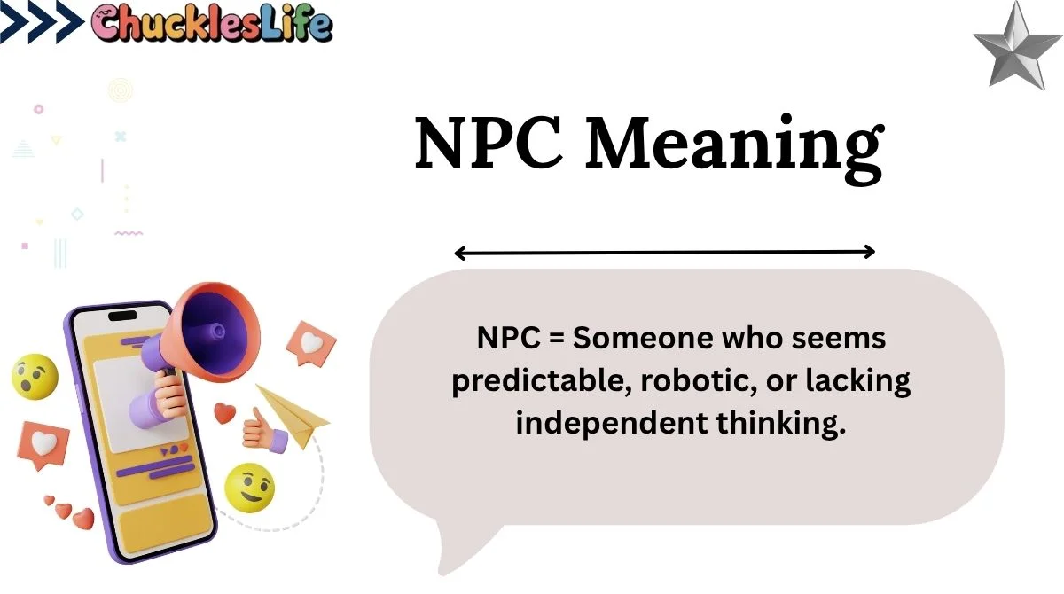 NPC Meaning