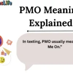 PMO Meaning Explained