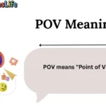 POV Meaning
