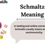 Schmaltz Meaning