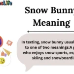 Snow Bunny Meaning