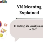 YN Meaning Explained
