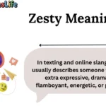 Zesty Meaning