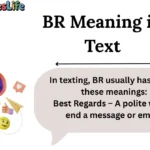 BR Meaning in Text