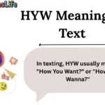 HYW Meaning in Text