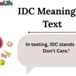 IDC Meaning in Text