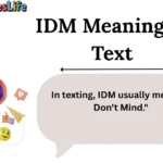 IDM Meaning in Text