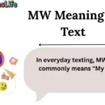 MW Meaning in Text