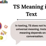 TS Meaning in Text