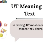 UT Meaning in Text