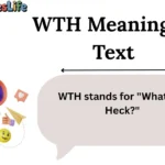 WTH Meaning in Text